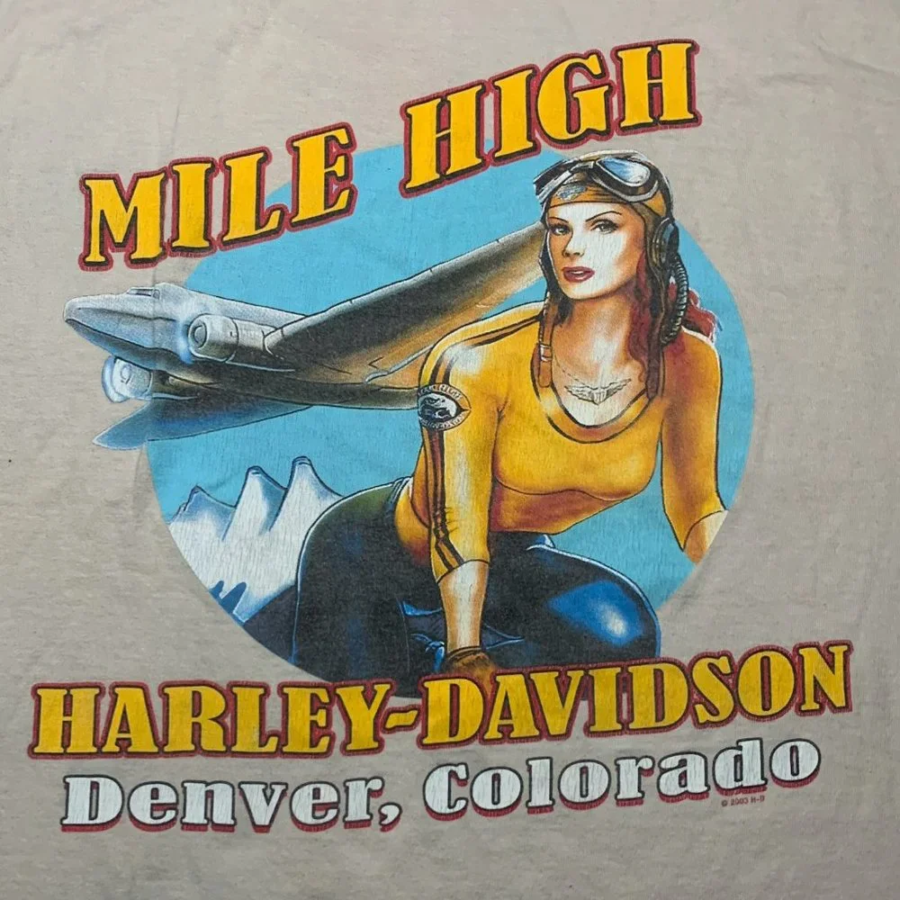 Y2K Harley-Davidson Denver 2007 Pin-Up Girl Cut Off Muscle Tank Skull Gr… - Picture 14 of 16
